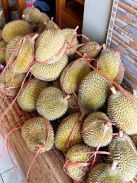Durian Siap Kirim