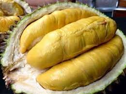 Varietas Durian Montong