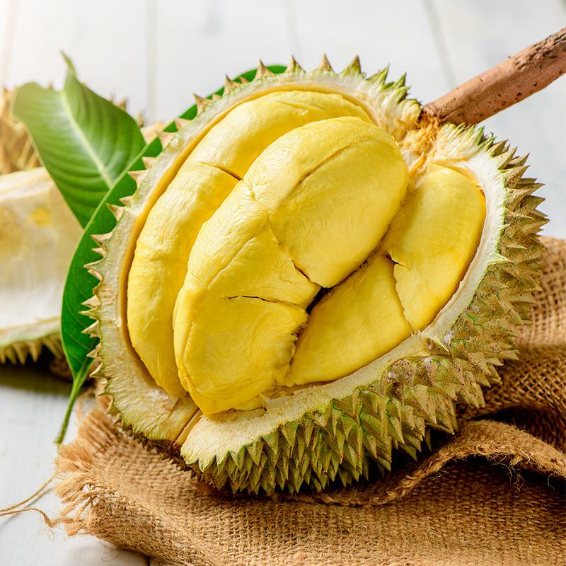 Durian Montong Premium