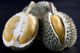 Durian Duri Hitam
