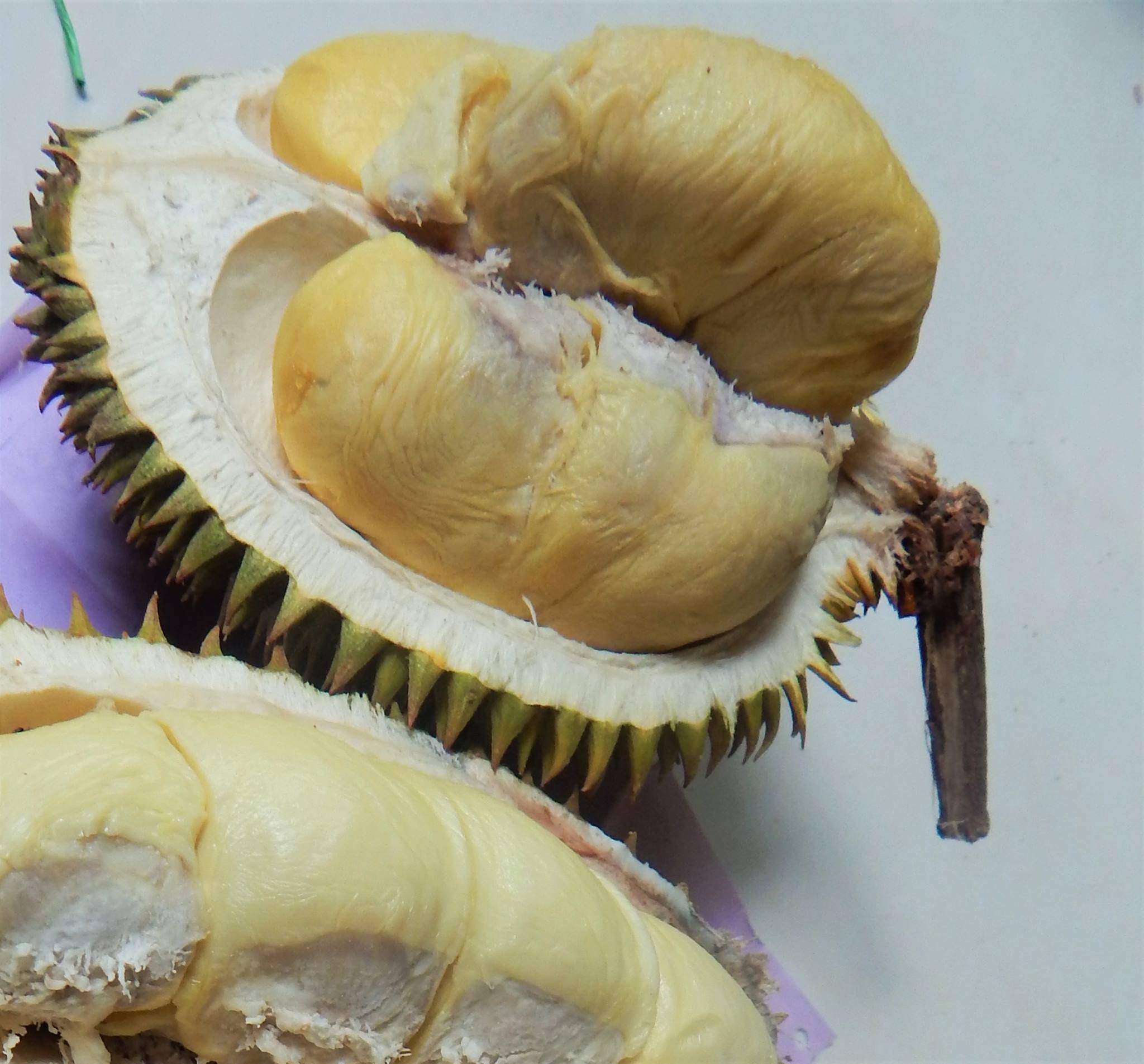 Durian Petruk