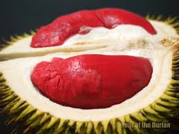 Durian Merah (Red Prawn)